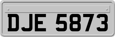 DJE5873