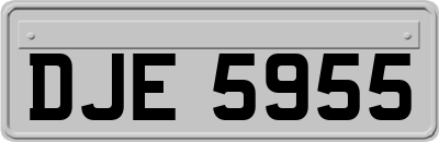 DJE5955
