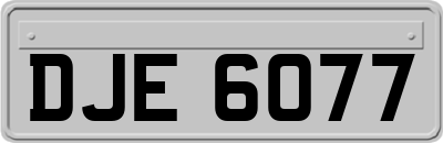 DJE6077