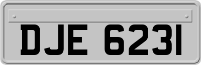DJE6231