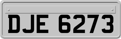 DJE6273