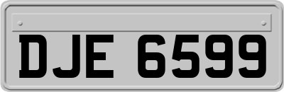 DJE6599