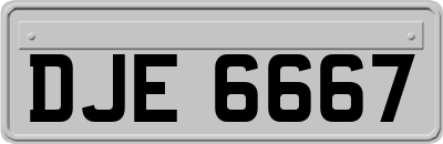 DJE6667