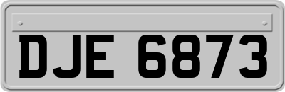 DJE6873