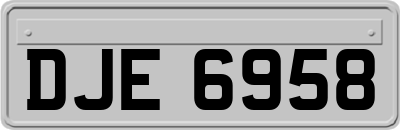 DJE6958