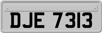 DJE7313
