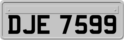DJE7599