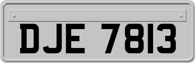 DJE7813