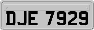 DJE7929