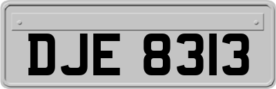 DJE8313