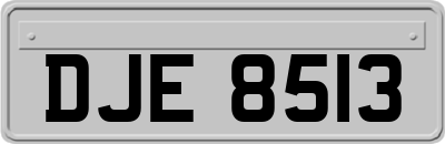 DJE8513