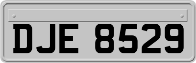 DJE8529