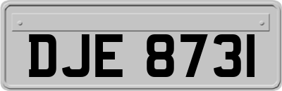 DJE8731