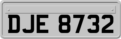 DJE8732