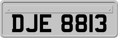 DJE8813