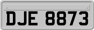 DJE8873