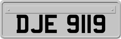 DJE9119