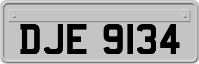 DJE9134