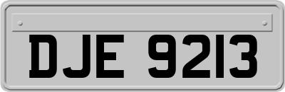 DJE9213