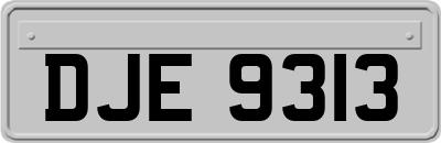 DJE9313