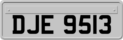 DJE9513