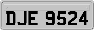 DJE9524