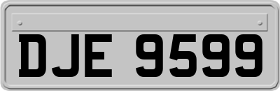 DJE9599
