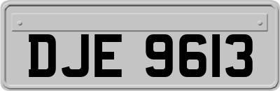 DJE9613