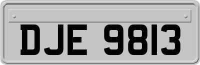 DJE9813
