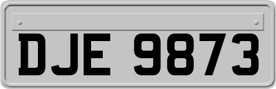 DJE9873