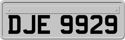 DJE9929