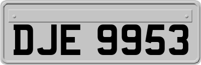 DJE9953