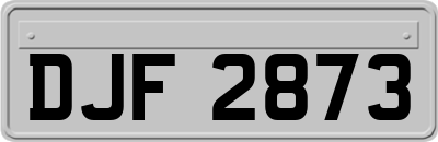 DJF2873