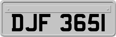 DJF3651