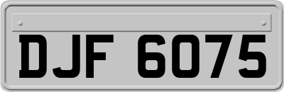 DJF6075