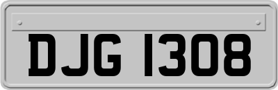 DJG1308