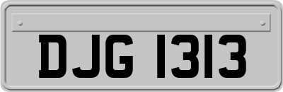 DJG1313