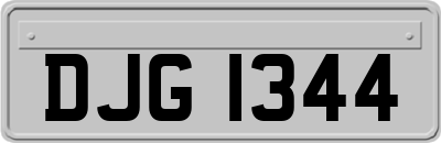 DJG1344