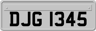 DJG1345
