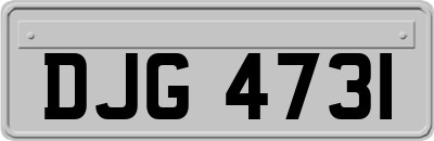 DJG4731