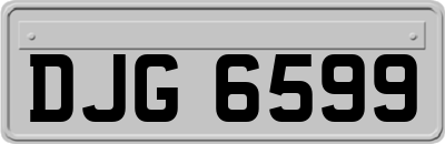 DJG6599
