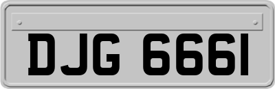 DJG6661