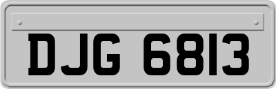 DJG6813