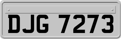 DJG7273