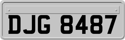 DJG8487