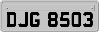 DJG8503
