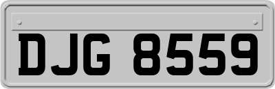 DJG8559