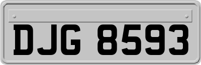 DJG8593