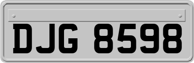DJG8598