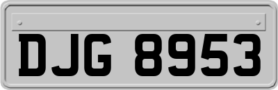DJG8953